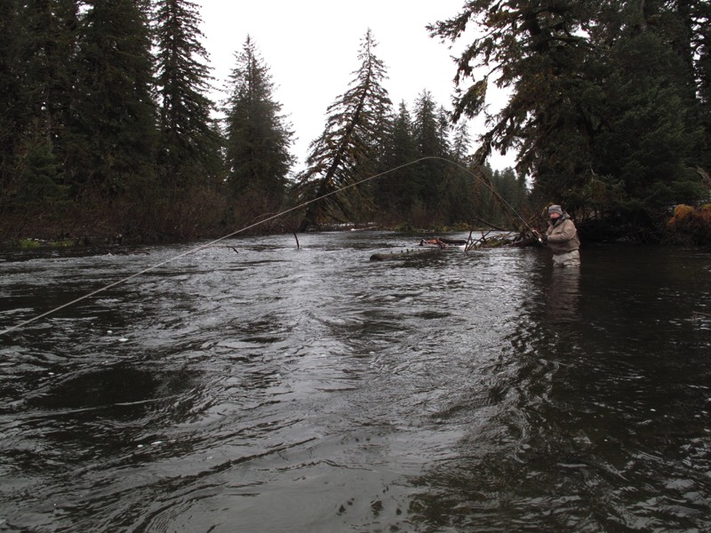 Stacks Image 173