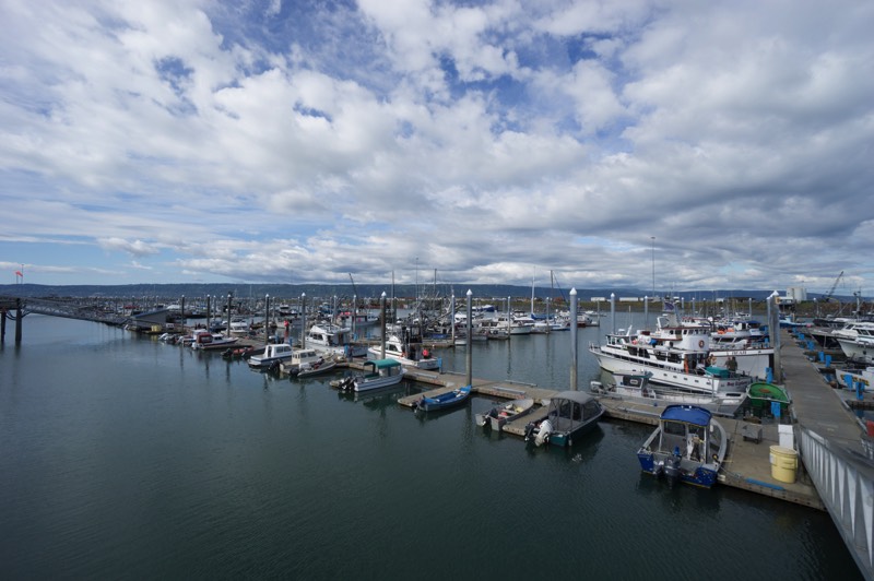Stacks Image 178