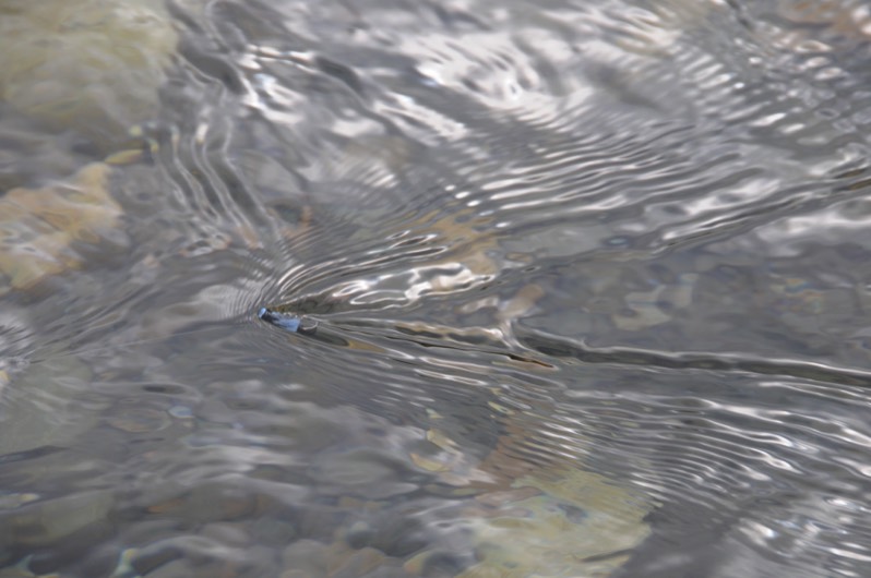 Stacks Image 171