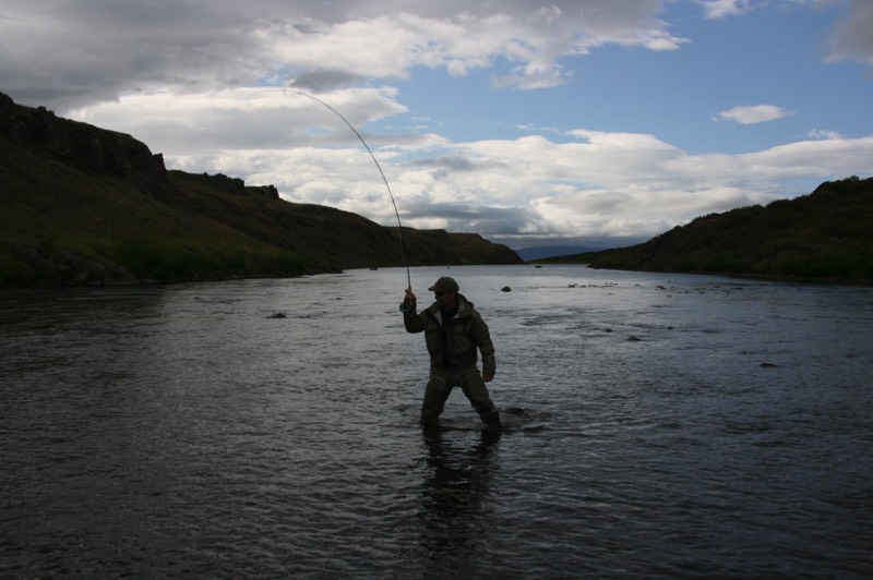 Stacks Image 593