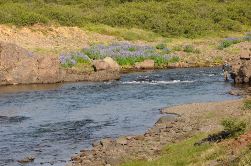 Stacks Image 172