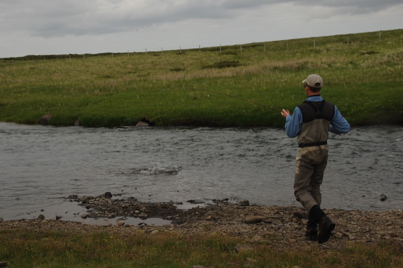 Stacks Image 176