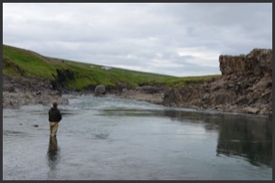 Stacks Image 695